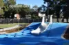 8b Bareena St, Canley Vale, NSW 2166-Image