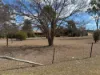 8B Brewery Street, Inverell, NSW 2360
