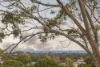8B Driftwood Street, Ocean Grove, Vic 3226