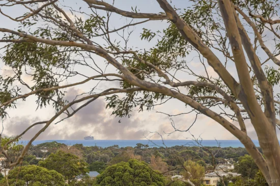 8B Driftwood Street, Ocean Grove, Vic 3226