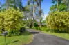 8b Fairyland Road, Kuranda, Qld 4881-Image