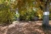9 - 11 Birdwood Ave, Healesville, Vic 3777-Image