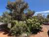 9-11 Tarcoola Street, Pooncarie, NSW 2648-Image