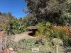 9-11 Tarcoola Street, Pooncarie, NSW 2648-Image