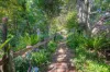 9 -11 Thone Street, Comboyne, NSW 2429-Image