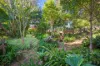 9 -11 Thone Street, Comboyne, NSW 2429-Image