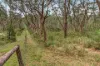 9-11 Walmer Crescent, Wentworth Falls, NSW 2782-Image