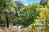 9/24 Malakoff Road, Beechworth, Vic 3747-Image