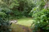 9-37 Gorge View Crescent, Mossman Gorge, Qld 4873-Image