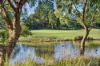 9 Allura Drive, Alfredton VIC 3350-Image