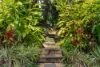 9 Amethyst Court, Carrara QLD 4211-Image