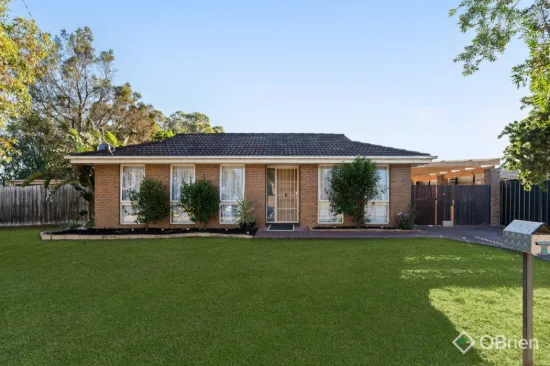 9 Andrew Street, Hampton Park, Vic 3976