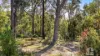 9 Antrim Place, Hazelbrook, NSW 2779-Image