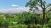 9-B Ray Street, Yorkeys Knob, Qld 4878-Image