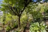 9 Banora Boulevard, Banora Point, NSW 2486-Image