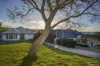 9 Barnard Street, Alfred Cove, WA 6154-Image