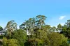 9 Bertram Street, Drouin, Vic 3818-Image