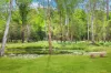 9 Bloodwood Place, Kenthurst, NSW 2156-Image