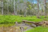 9 Bloodwood Place, Kenthurst, NSW 2156-Image