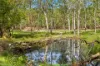 9 Bloodwood Place, Kenthurst, NSW 2156-Image