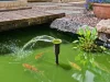 9 Bracken Street, Woorim, Qld 4507-Image