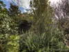 9 Caley Place, Two Rocks, WA 6037-Image