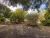 9 Caley Place, Two Rocks, WA 6037-Image