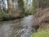 9 Cameron Close, Buxton VIC 3711-Image