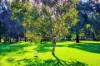 9 Cann Close, Felixstow, SA 5070-Image