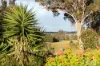 9 Carnoustie Close, Cessnock, NSW 2325-Image