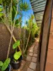 9 Compass Court, Woodroffe, NT 0830-Image