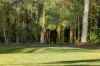 9 Coolah Place, Cooroibah, Qld 4565-Image