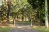 9 Coolah Place, Cooroibah, Qld 4565-Image