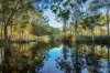 9 Coolah Place, Cooroibah, Qld 4565-Image