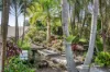 9 Corella Court, Goonellabah, NSW 2480-Image