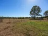 9 Cornish Street, Bundamba, Qld 4304-Image