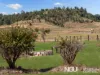 9 Cricklewood Court, Plainland, Qld 4341-Image