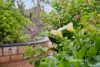 9 Darrowby Place, Sawyers Valley, WA 6074-Image