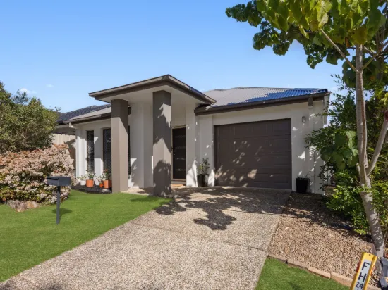 9 Darter Place, Springfield Lakes, Qld 4300