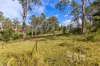 9 Dingo Parade, Jimna, Qld 4515-Image