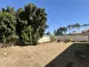 9 Dodd Drive, Emerald, Qld 4720-Image