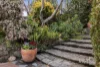 9 Douglas Parade, Croydon, Vic 3136-Image