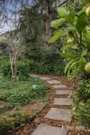 9 Douglas Parade, Croydon, Vic 3136-Image