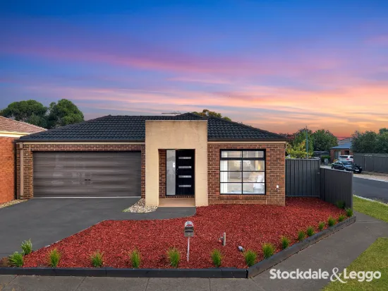 9 Ellenborough Crescent, Manor Lakes, Vic 3024