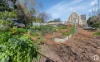 9 Ellis Street, Magill, SA 5072-Image