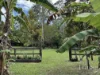 9 Elouera Drive, Ninderry, Qld 4561-Image
