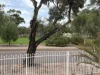 9 Elsie Street, Port Augusta, SA 5700-Image