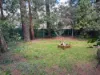 9 Fairlop Road, Medlow Bath NSW 2780-Image