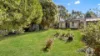 9 Fern Avenue, Hazelbrook, NSW 2779-Image