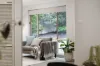 9 Fig Tree Lane, Aberfoyle Park, SA 5159-Image
